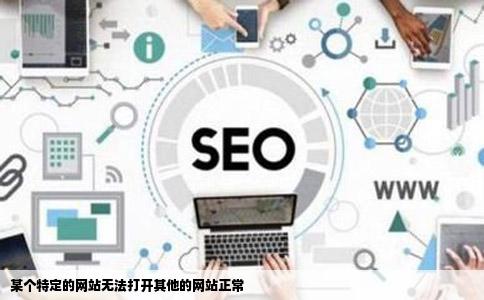 某个特定的网站无法打开其他的网站正常