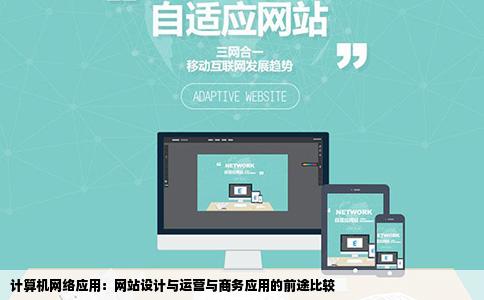 计算机网络应用：网站设计与运营与商务应用的前途比较