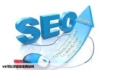 VB可以开发动态网站吗