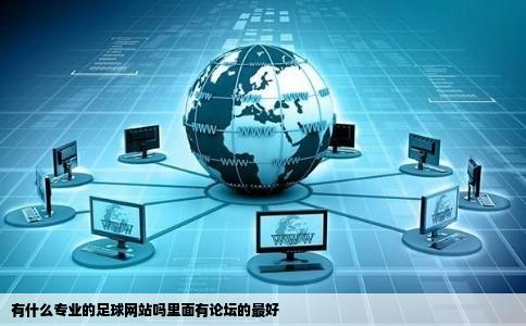 有什么专业的足球网站吗里面有论坛的最好