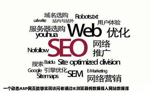 一个动态ASP网页能够实现访问者通过IE浏览器将数据插入网站数据库