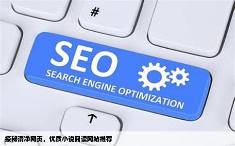 探秘清净网页，优质小说阅读网站推荐