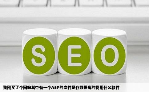 我刚买了个网站其中有一个ASP的文件是存数据库的我用什么软件