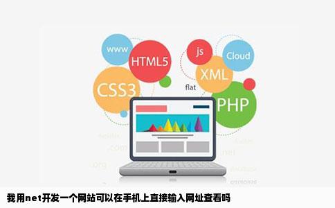 我用net开发一个网站可以在手机上直接输入网址查看吗