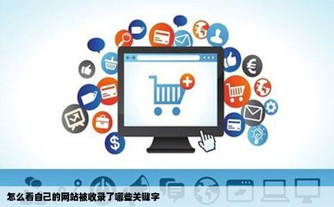 怎么看自己的网站被收录了哪些关键字