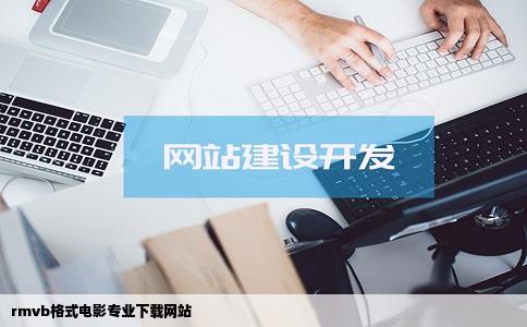 rmvb格式电影专业下载网站
