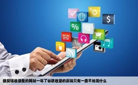 做反链收录我的网站一年了谷歌收录的反链只有一条不知是什么