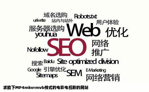 求能下MP4mkvrmvb格式的电影电视剧的网站