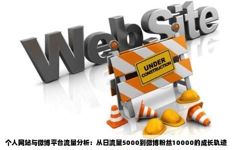 个人网站与微博平台流量分析：从日流量5000到微博粉丝10000的成长轨迹