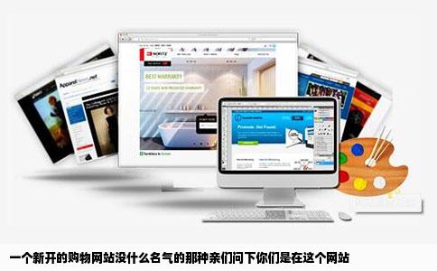 一个新开的购物网站没什么名气的那种亲们问下你们是在这个网站