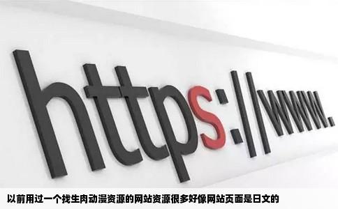 以前用过一个找生肉动漫资源的网站资源很多好像网站页面是日文的
