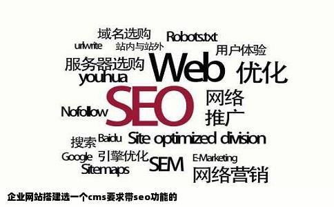 企业网站搭建选一个cms要求带seo功能的