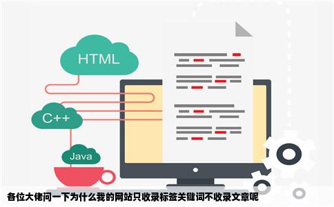 各位大佬问一下为什么我的网站只收录标签关键词不收录文章呢