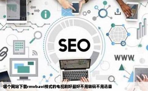 哪个网站下载rmvbavi格式的电视剧好最好不用转码不用迅雷