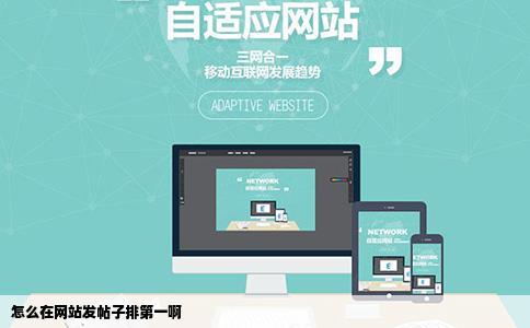 怎么在网站发帖子排第一啊