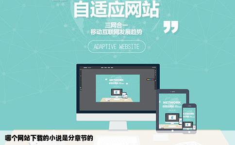 哪个网站下载的小说是分章节的