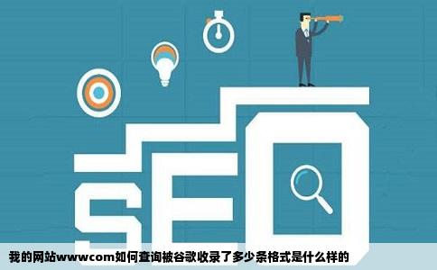 我的网站wwwcom如何查询被谷歌收录了多少条格式是什么样的