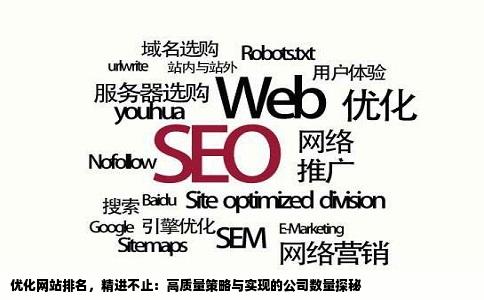 优化网站排名，精进不止：高质量策略与实现的公司数量探秘
