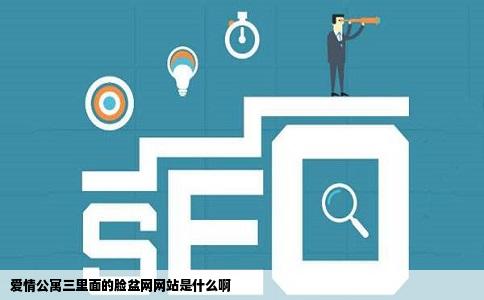爱情公寓三里面的脸盆网网站是什么啊