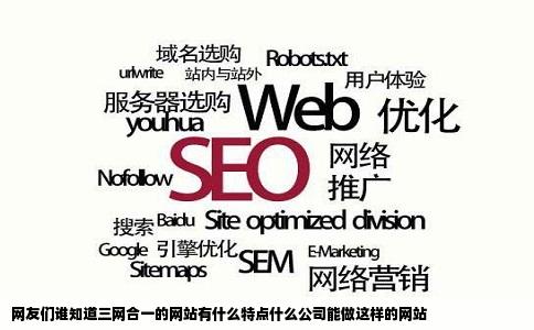 网友们谁知道三网合一的网站有什么特点什么公司能做这样的网站