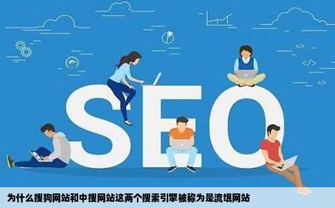 为什么搜狗网站和中搜网站这两个搜索引擎被称为是流氓网站
