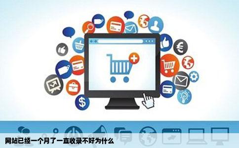网站已经一个月了一直收录不好为什么