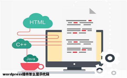 wordpress插件怎么显示代码