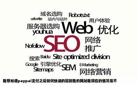 我想知道paypal支付之后如何快速的回到我的网站我现在的情况是不