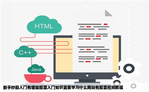 新手炒股入门有哪些股票入门知识需要学习什么网站有股票视频教程