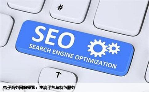 电子商务网站概览:主流平台与特色服务