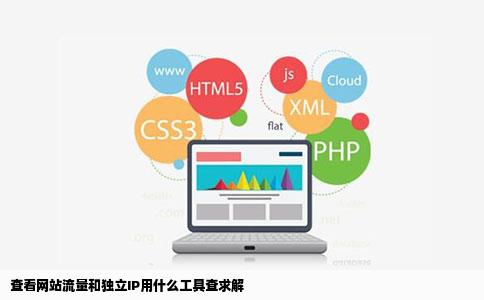 查看网站流量和独立IP用什么工具查求解