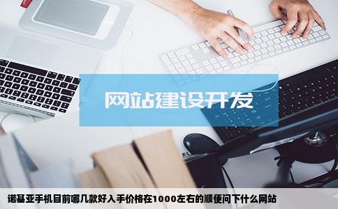诺基亚手机目前哪几款好入手价格在1000左右的顺便问下什么网站