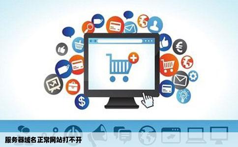 服务器域名正常网站打不开