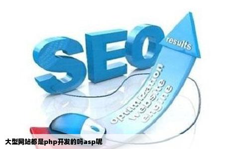 大型网站都是php开发的吗asp呢