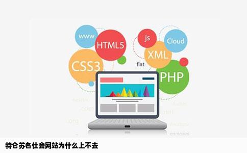 特仑苏名仕会网站为什么上不去