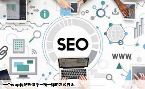 一个wap网站想做个一模一样的怎么办呢