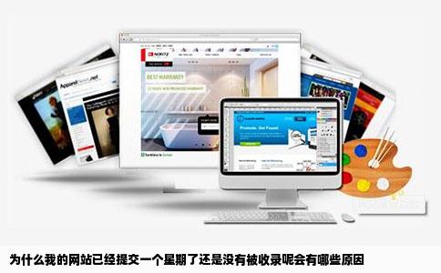 为什么我的网站已经提交一个星期了还是没有被收录呢会有哪些原因