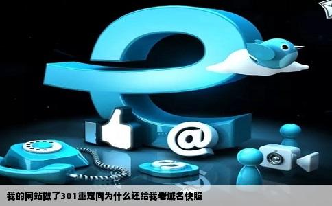 我的网站做了301重定向为什么还给我老域名快照