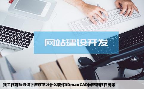 找工作麻烦咨询下应该学习什么软件3DmaxCAD网站制作在线等