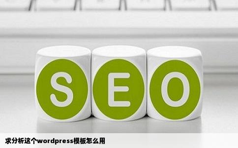 求分析这个wordpress模板怎么用