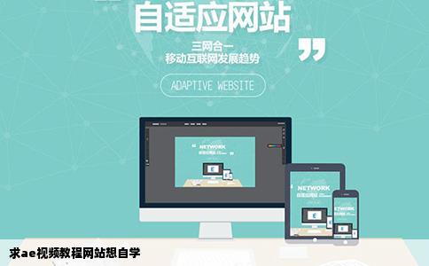 求ae视频教程网站想自学