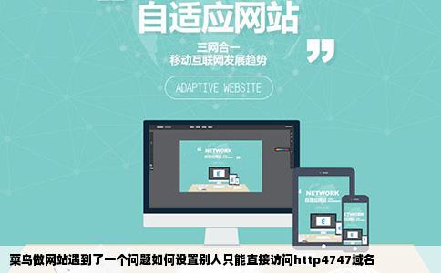 菜鸟做网站遇到了一个问题如何设置别人只能直接访问http4747域名