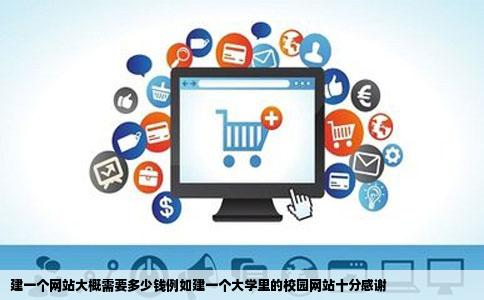 建一个网站大概需要多少钱例如建一个大学里的校园网站十分感谢