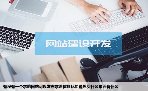 有没有一个求购网站可以发布求购信息比如说想买什么东西有什么