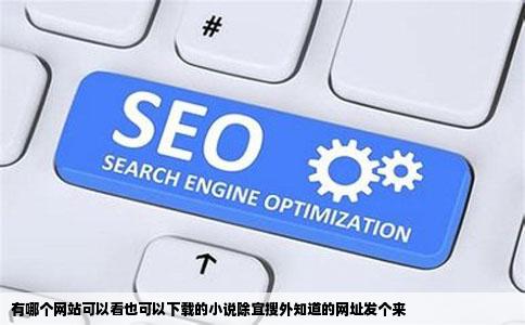 有哪个网站可以看也可以下载的小说除宜搜外知道的网址发个来