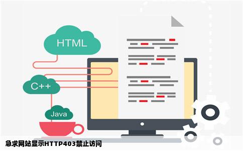急求网站显示HTTP403禁止访问