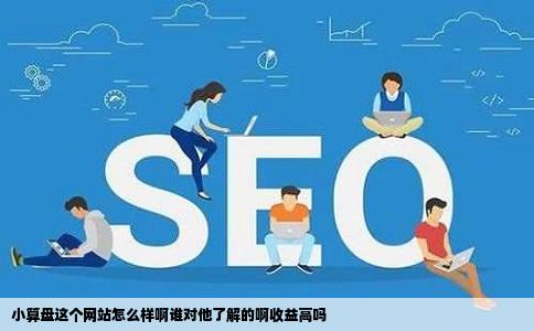 小算盘这个网站怎么样啊谁对他了解的啊收益高吗