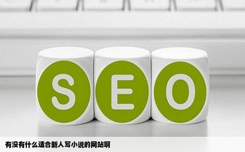 有没有什么适合新人写小说的网站啊