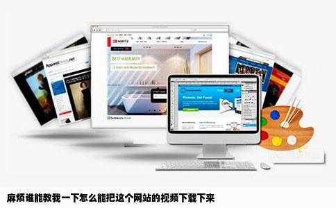 麻烦谁能教我一下怎么能把这个网站的视频下载下来