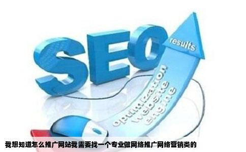 我想知道怎么推广网站我需要找一个专业做网络推广网络营销类的